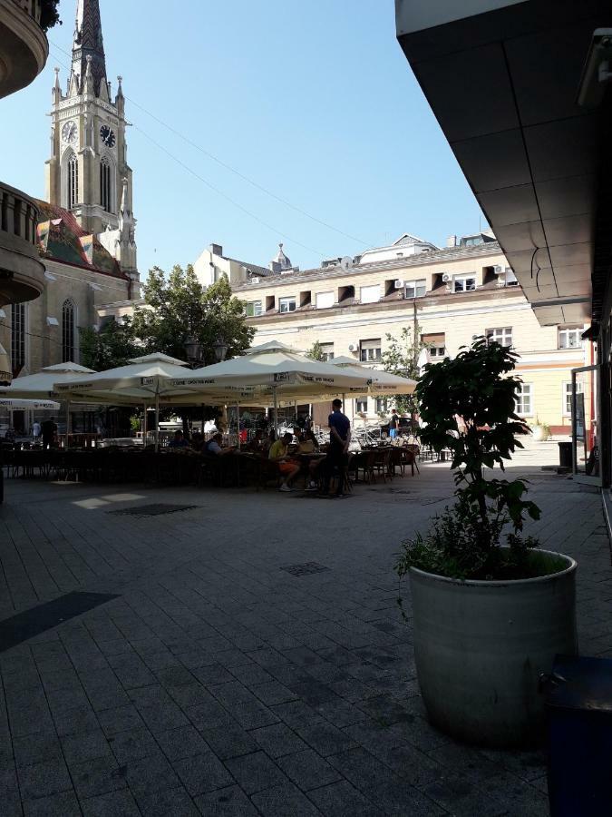 Apartman Dunja Ns 2 Novi Sad Dış mekan fotoğraf